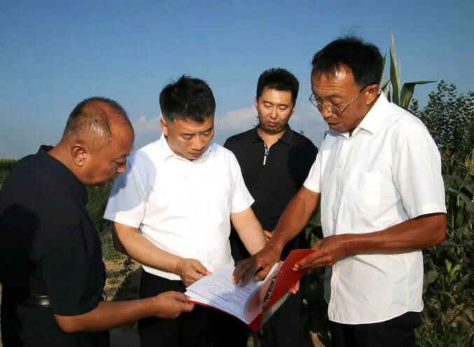 安文哲调研农业农村工作相关图片